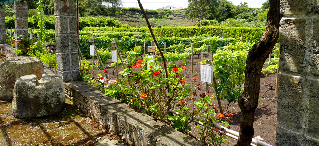 Wine Museum, Terceira